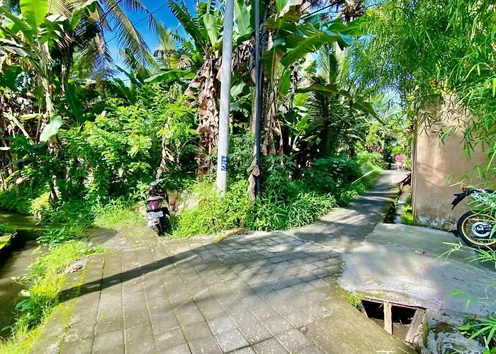 Magica 2 * Ubud